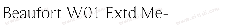 Beaufort W01 Extd Me字体转换